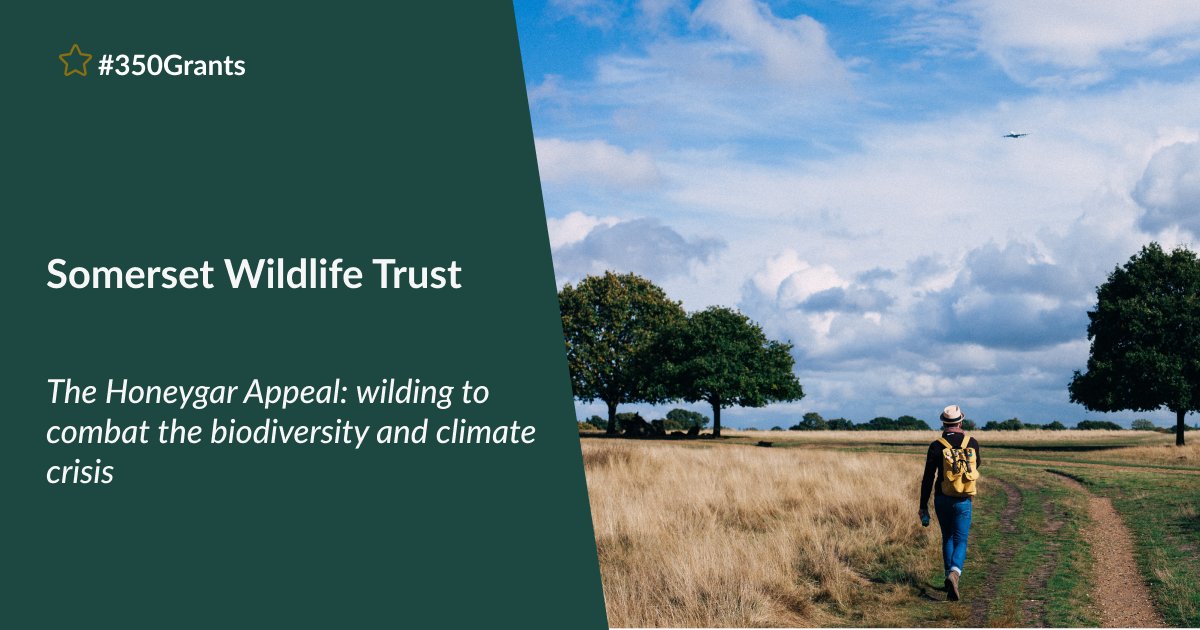 In Somerset you’re never more than a few miles from a #nature reserve. We’re delighted to announce that <a href="/SomersetWT/">Somerset Wildlife Trust</a> is receiving one of our '350 grants'. The grant will go towards the Honeygar Appeal. 

Learn more about it in this video: bit.ly/3PzAz5i 

#350Years