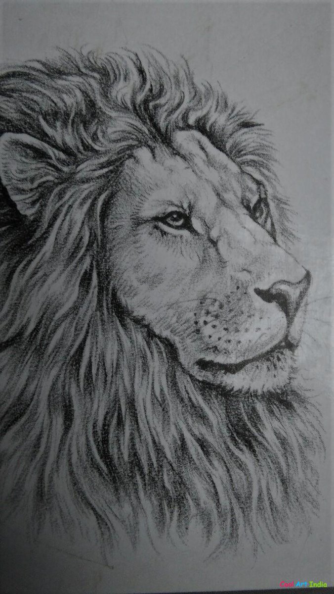 Art #Lion Created by Ravi Ranjan: Cool Art India.
coolartindia.in/art-detail/?id…