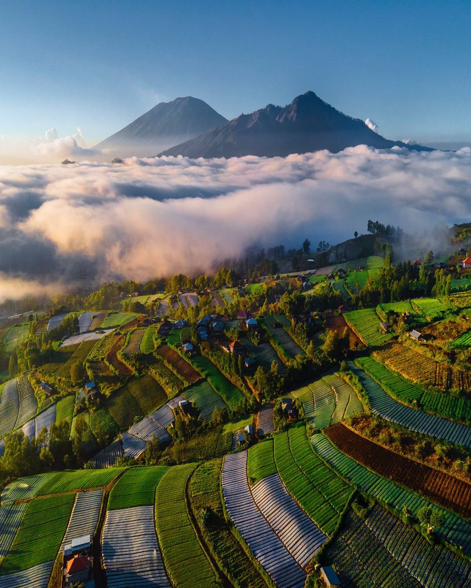wonderfulid's tweet photo. Happy #WorldCoffeeDay and good morning from Kintamani, Bali! Did you know that this region is famous among coffee enthusiasts for its flavorsome coffee beans? Raise your cup of coffee if you have already tasted it before ☕

📷: @hidwii 

#ItstimeforBali
#WonderfulIndonesia https://t.co/uq6TPmQTxd