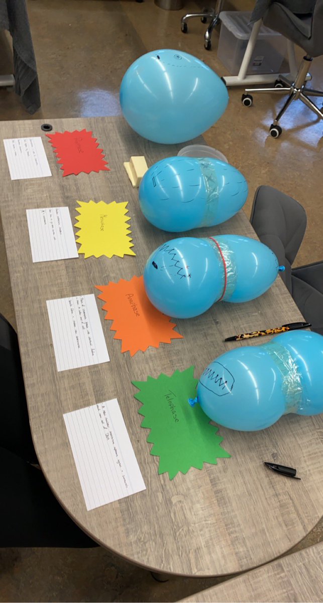 K00266862Tara's tweet image. Had fun learning about the cell today in Anatomy &amp;amp; Physiology for massage🔬🦠 @MajellaGolden #cell #beautyspa