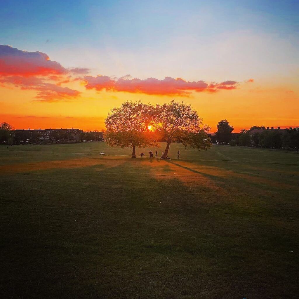 #streatham smashing the #sunsets again! Thanks to @bethiveypt for capturing this one. #mystreatham #streathamhill #streathamcommon #streathamhighroad #lambeth #london #streathamvale #furzedown #brixton #claphamcommon #balham #tooting instagr.am/p/CjIF6XZIWhQ/