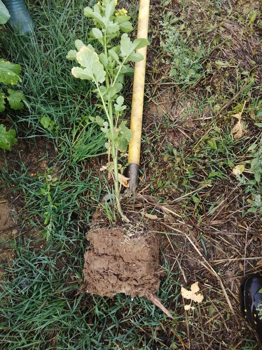 GDA de Chatillon-Coligny tweet media