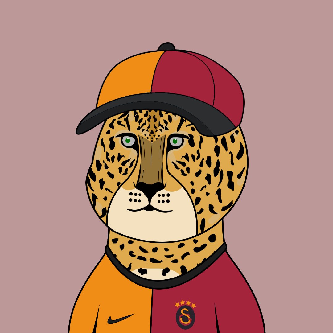 Ali Imashli tweet media