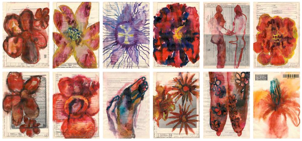 Time-lapse migration tweet media