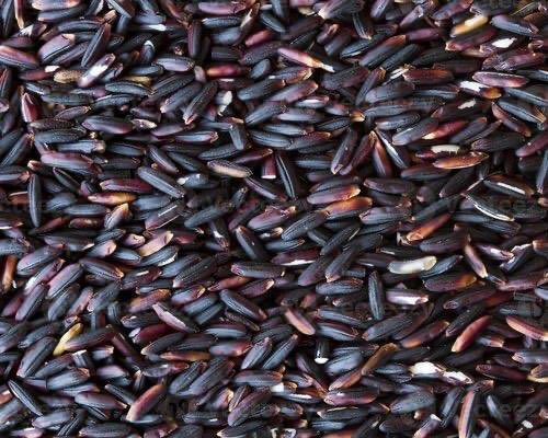 sfacindia's tweet photo. #women #FPOs are guardians of #biodiversity- #indigenous rice #nutrient rich Bhairabi Women Agro Producer Co Ltd #naturalfarming #organic #healthyfood #Odisha @AgriGoI @KailashBaytu @ShobhaBJP @nstomar @mygovindia @CMO_Odisha https://t.co/zsTRhdpMKP