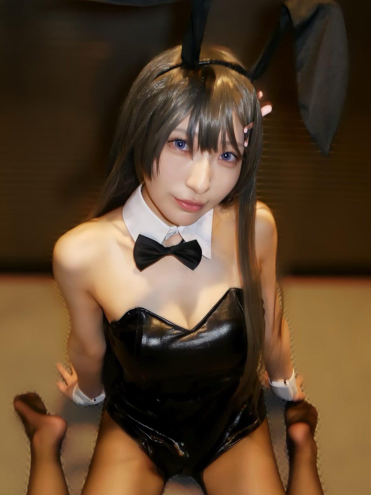 バニーガール図鑑👯 ︎*。 on Twitter 