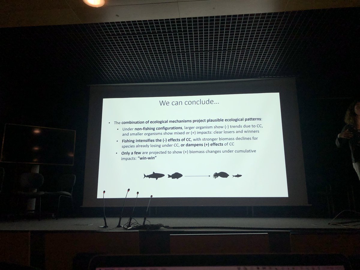 margalef_bcn's tweet photo. “Climate change will probably have a higher negative impact in larger animal species in the ocean” @CollMonton 
#RMSC2022 https://t.co/m6mNsx83jq
