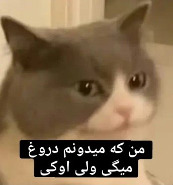 𝗩𝗮𝗻𝘁𝗮𝗲• tweet media
