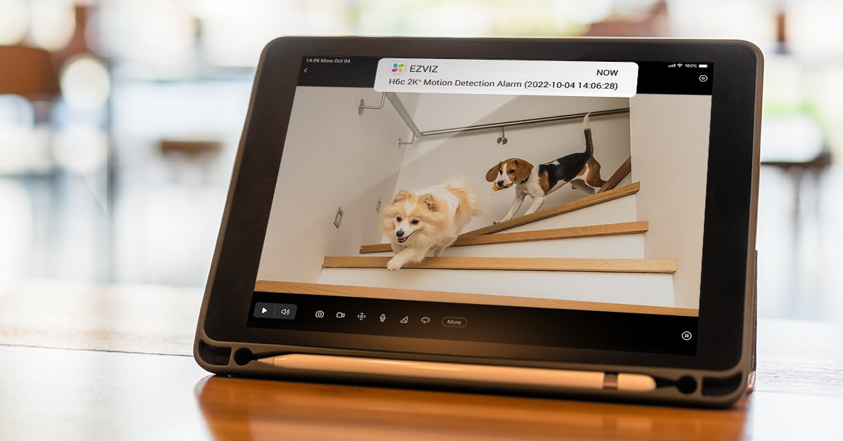EZVIZ_Global's tweet photo. Today is the World Animal Day! ππππ¦
Guard the happiness of your four-legged friends and treasure the moments when theyβre around. πΎ
.
#EZVIZ #pet #petlovers #pets #petcam #petcamera #petlover #petscorner #petmoments #securitycamera #securitycam #petdetection #EZVIZSmartHome https://t.co/1SBbVaylZE