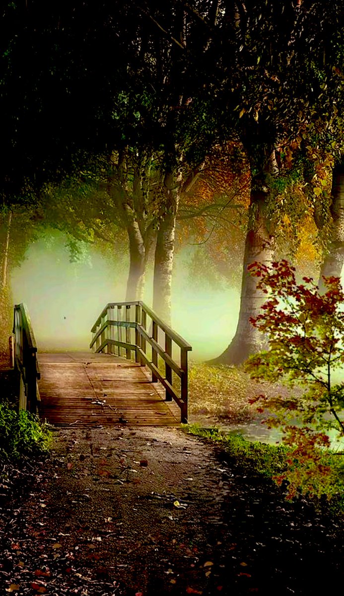 🍂🍃🍂🍁秋思🍂🍃🍂🍃
