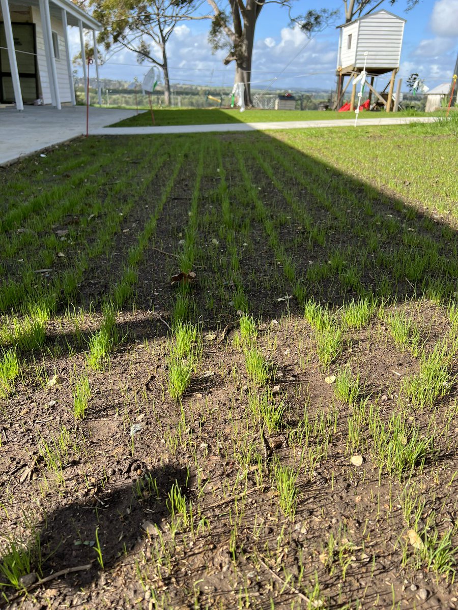 John Matthews tweet media