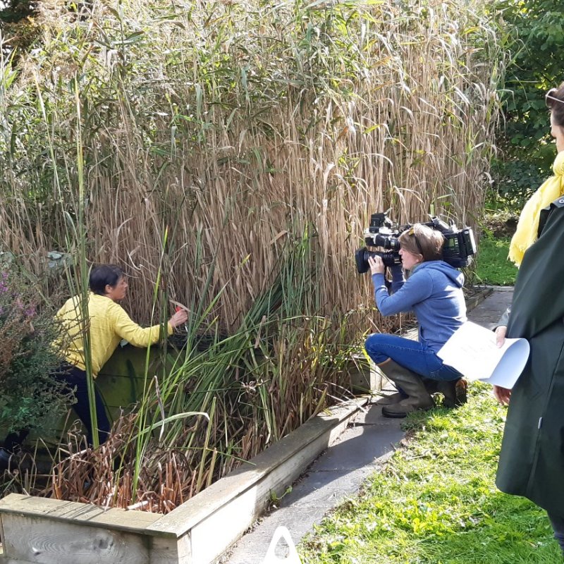 Aquatiris tweet media