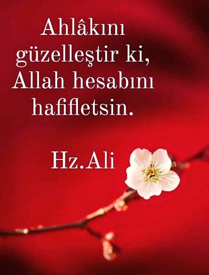 Davan Neyse Şeref'inde odur...《Aciz ~bir~kul~026》 tweet media