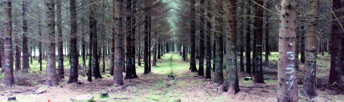 Grace Jones tweet media