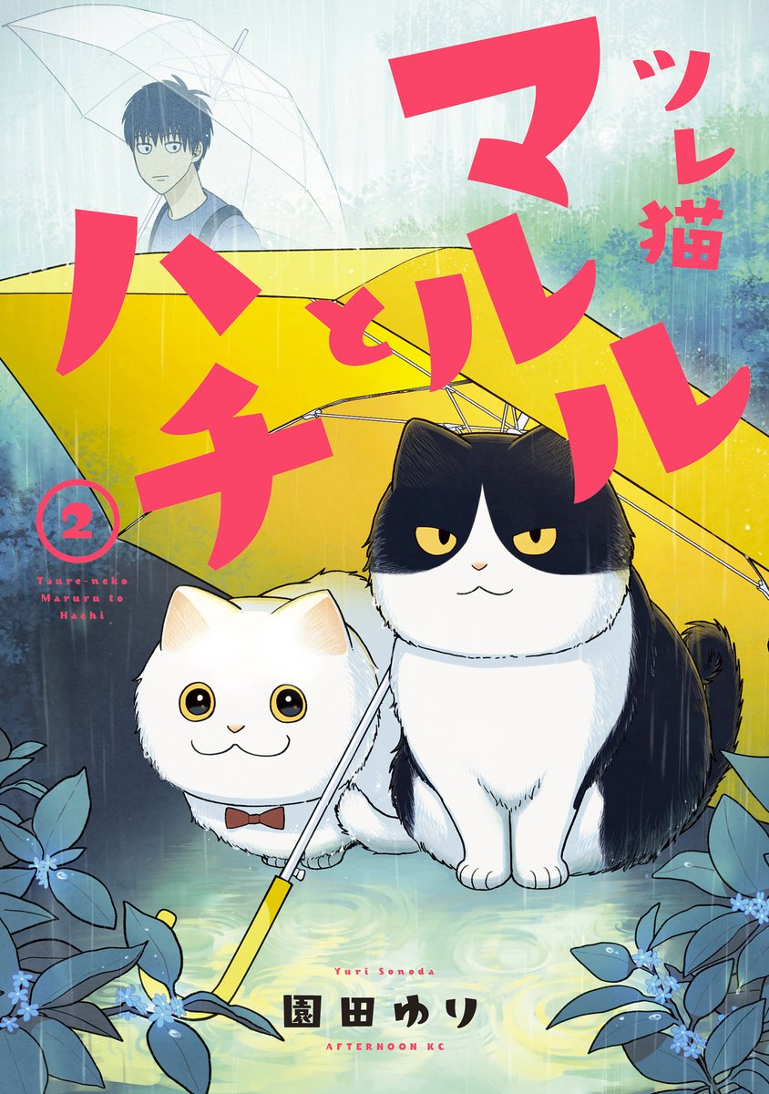 【告知】『ツレ猫 マルルとハチ』2巻の発売日は2022年10月12日です!🐈🐈‍⬛
紙の本も電子書籍もamazonや各書店から予約できます
よろしくお願いします🐱🐱🐱

amazon↓
https://t.co/XmoydvfqWC 