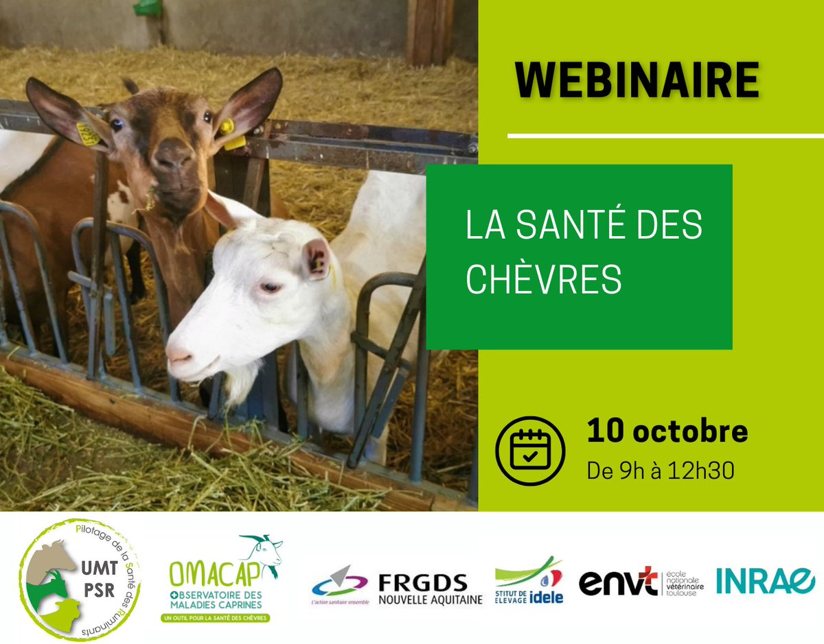 InstitutElevage's tweet photo. J-5 | Webinaire 💻 #Santé #chèvres 🐐
✅ Maladies enzootiques
✅ Exploitation de marqueurs biologiques
✅ Bien-être/enrichissement du milieu
✅ Maladies négligées/peu connues
👉 Par @UMT_PSR & #OMACAP
🔸 https://t.co/tWiOLWEp0v
@GDS_France @env_toulouse @anicap @BRILAC_Interpro https://t.co/hV9QyGNMJt