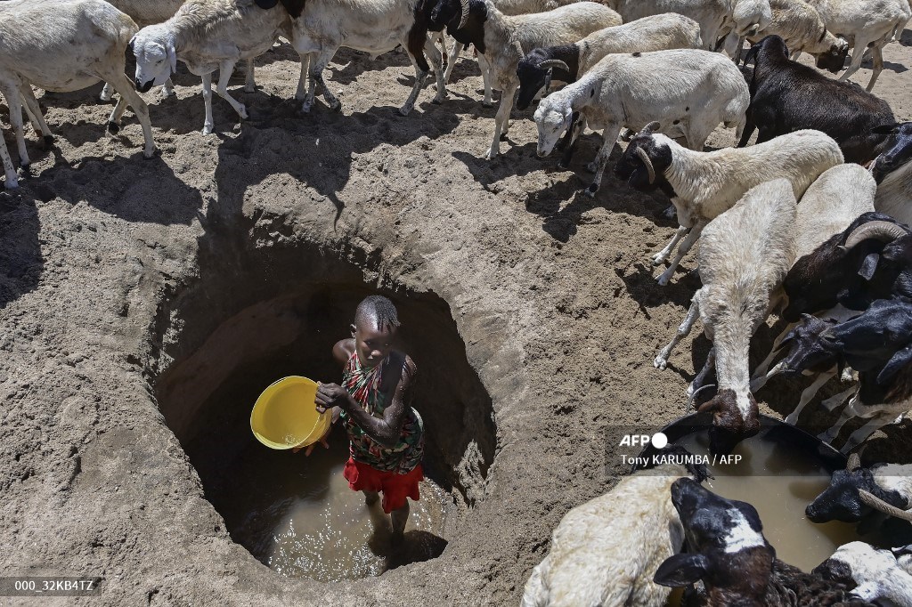AFPphoto's tweet photo. #AFP PICTURES OF THE WEEK (24-30 September) 
https://t.co/EkGScZyExM https://t.co/wH6SwdSJp7