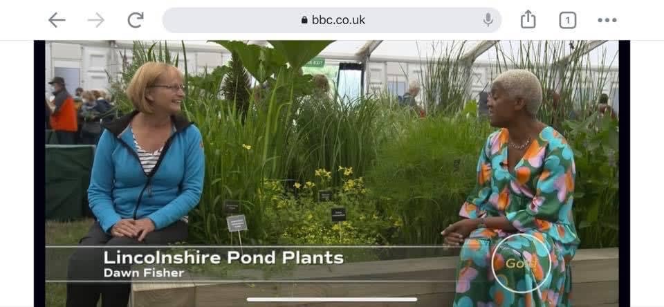 LincsPondPlants's tweet photo. What a year being on BBC Gardeners World - amazing year.     RHS Malvern and RHS Hampton Court —-  Heading to Chelsea in 2023.     #lincspplants #rhs #ponds #pondplants #garden #frogs #wildlife #dragonfly #aquarium #oxygenators https://t.co/1bIaaRmfjL