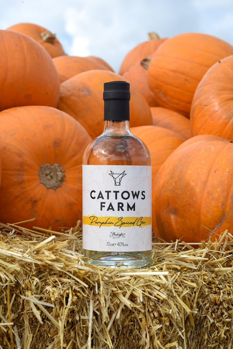 Burleighs Gin tweet media