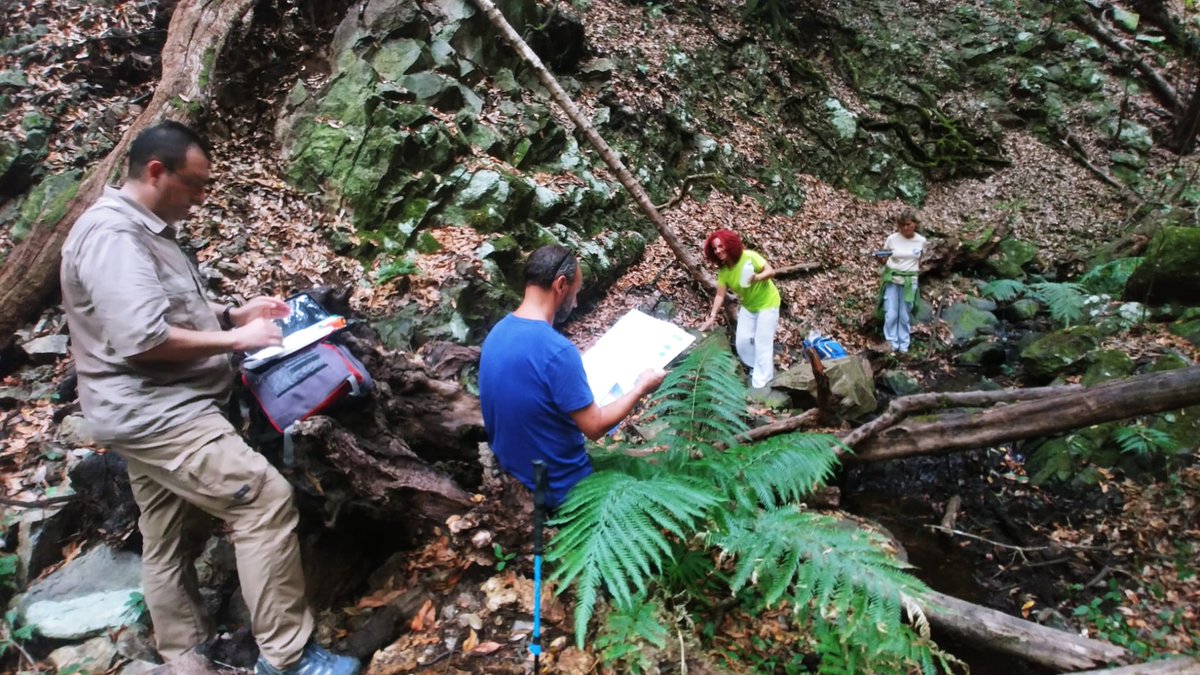 Los nacientes 💧 del PN de Garajonay son los Lugares de Interés Geológico más sensibles y vulnerables de los inventariados en La Gomera. El proyecto #IVRIPARC, en el que el #IGME_CSIC participa, busca la mejor manera de protegerlos frente al escenario de cambio climático.