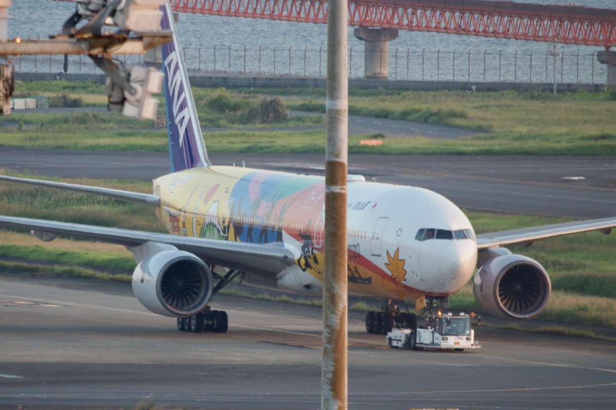 ayamana720's tweet image. 本日のJA741A HELLO2020オリンピック塗装
#JA741A 
#HELLO2020