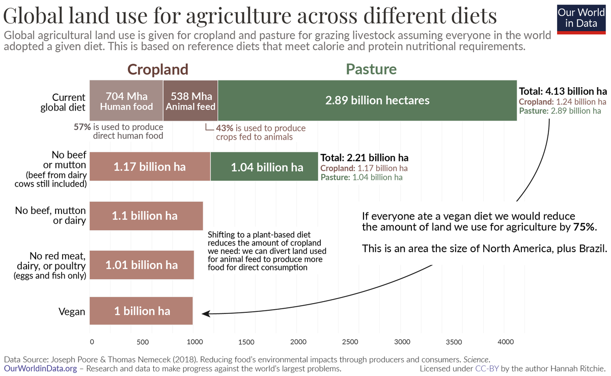 Many imagine that a move towards more plant-based diets requires *more* cropland.

This is not true.

We would free up land used to grow crops for animal feed.

Just half of the world's cereals go directly to food for humans.

From my article: ourworldindata.org/land-use-diets