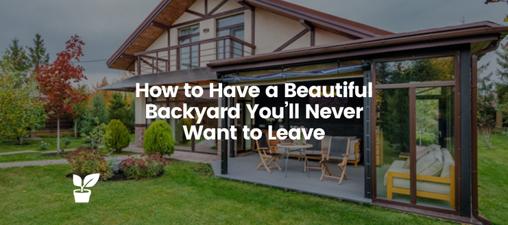 This article's tips will show you how to have a beautiful backyard you'll never want to leave with safety environment.

Click here for the article: irrigationsuppliesstore.com/how-to-have-a-…

#BackyardLandscaping #GardeningBackyard #VegetablesBackyard #ArtificialTurf #GokartTrack #BowlingAlley
