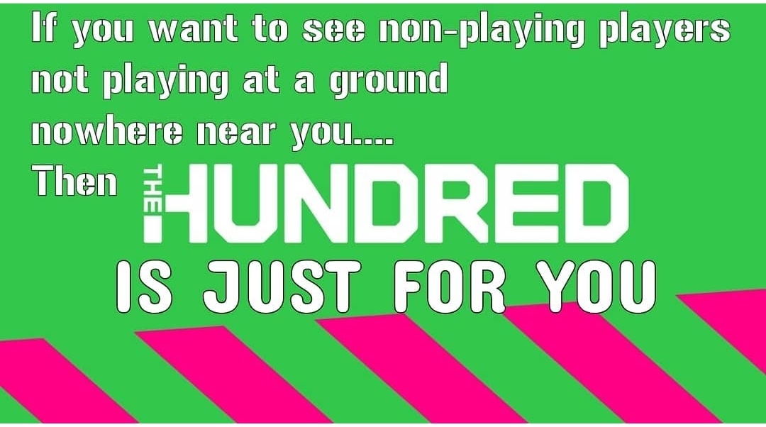 Stuff The Hundred tweet media