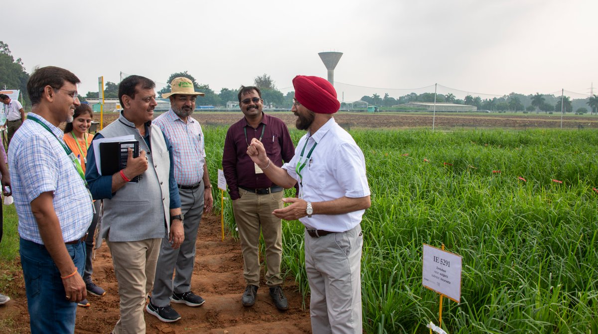 ICRISAT's tweet photo. #Update || Five days of experimental field visits by #ICRISAT scientists concluded at the @GenebankICRISAT fields where they were updated about the ongoing #research in crops such as #SmallMillets, #Pigeonpea, #Sorghum, #PearlMillet, #Groundnut &amp; #Sesame https://t.co/38X2H8hD7M