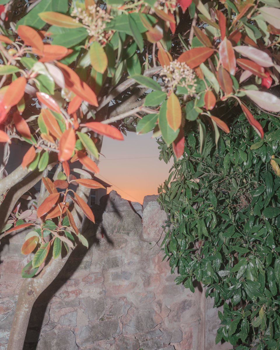 Andy Feltham tweet media