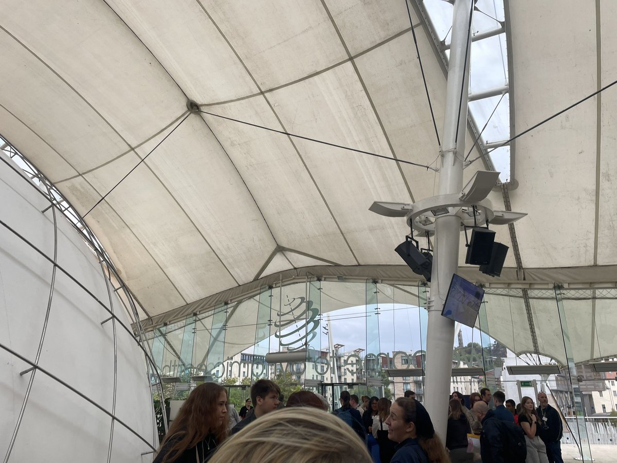 LilyFrameMSYP 🏳️‍🌈 tweet media