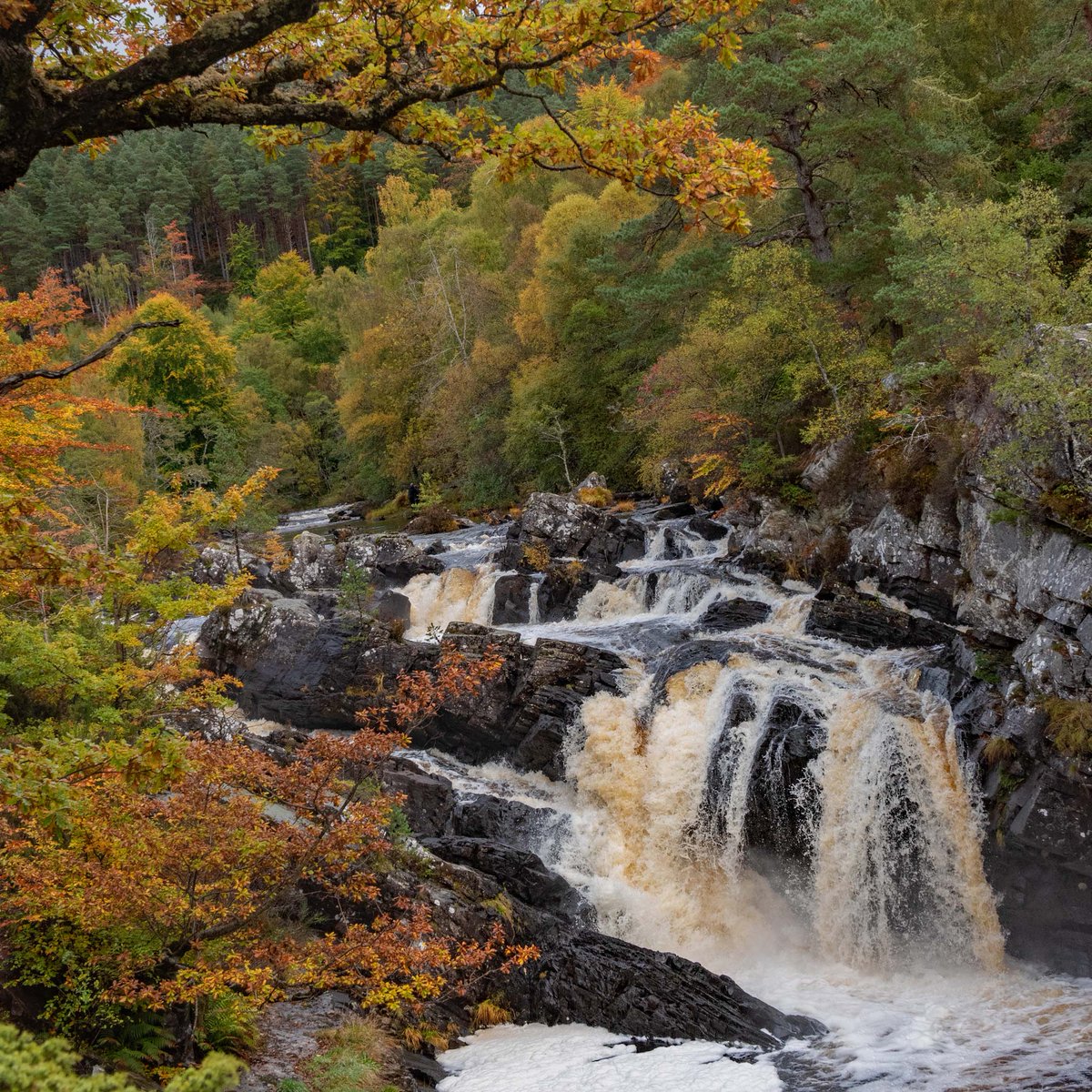 Happy weekend!
It's breezy &amp; dreich but we'll relish it after a week of office. Lovely early autumn walks &amp; sniffs.  Wishing all you wonderful folk a very good weekend. Don't forget to submit your elec meter reading!  Let's try to have a really positive October. Take care
🐾👣😊