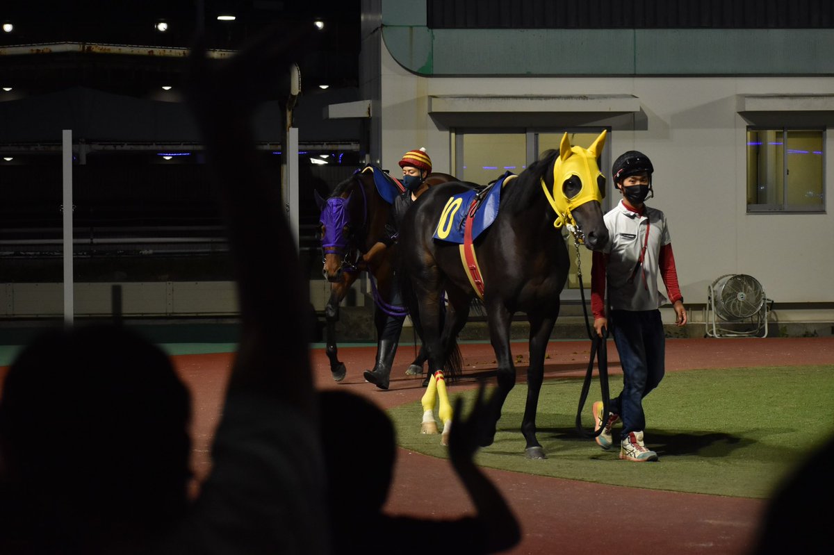 そんな訳でカメラは追っていました
めちゃかっこええ写真撮れた！(当社比)

園田競馬
その金ナイター
キンモクセイ賞
メイショウコトダマと川原正一
と厩務員さん

①単騎逃げ1周目
②2周目4コーナースパートの合図
③残り200m後続馬は？！
まあ2着同着だったんだけどね笑
惜しかった〜
④おつかれさま  