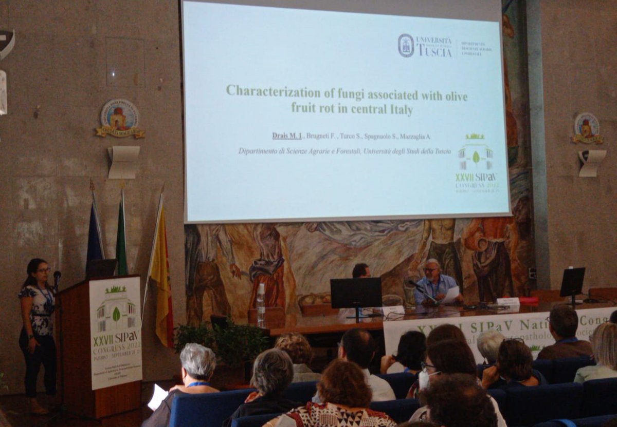 DraisInas's tweet photo. Thanks to SIPAV2022 organizers at the university of Palermo #Unipa for their excellent work. This year #SIPaV was outstanding. See you all next year in Naples #SIPaV2022 #plantpathology https://t.co/DOG1sMwdE9