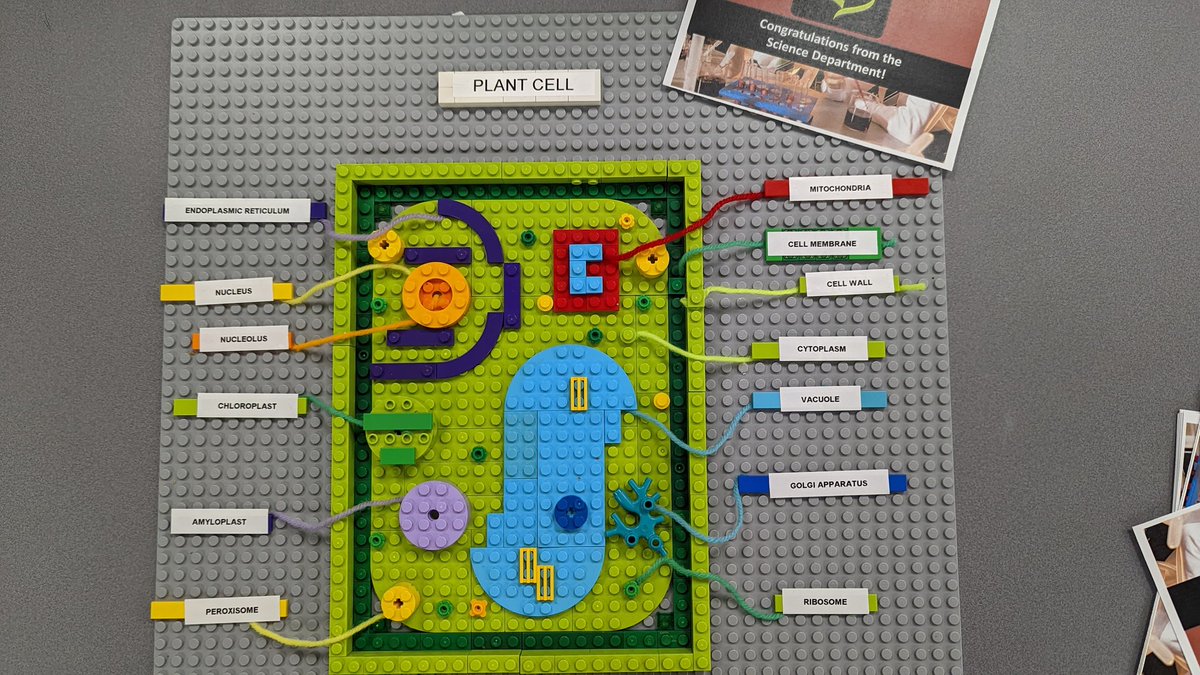 KeatmanMrs's tweet photo. Another amazing cell model from 7LM along with the science merit award it has earned its owner. @LuttHigh https://t.co/v8J4HkVURD