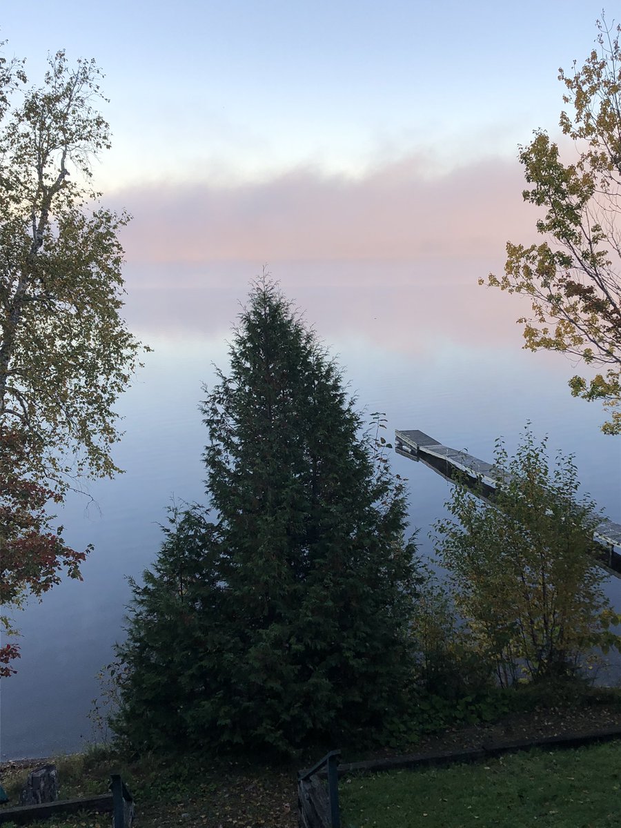 charlottmc's tweet photo. A sunny morning is lovely, but sometimes a foggy one is lovelier still #Autumn #mynb @WilliamLSeymour https://t.co/bVuP7KZiZO
