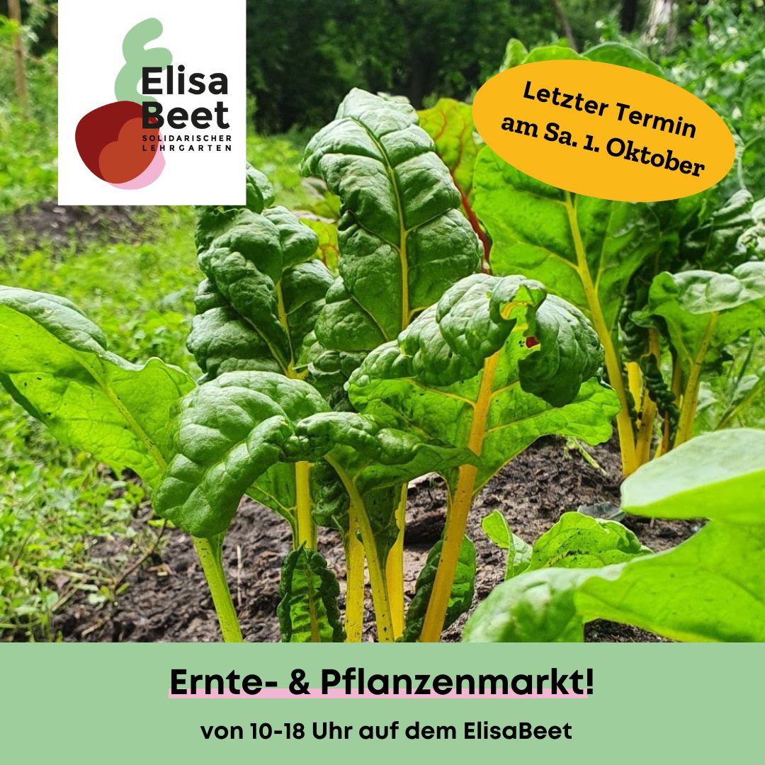himmelbeet tweet media