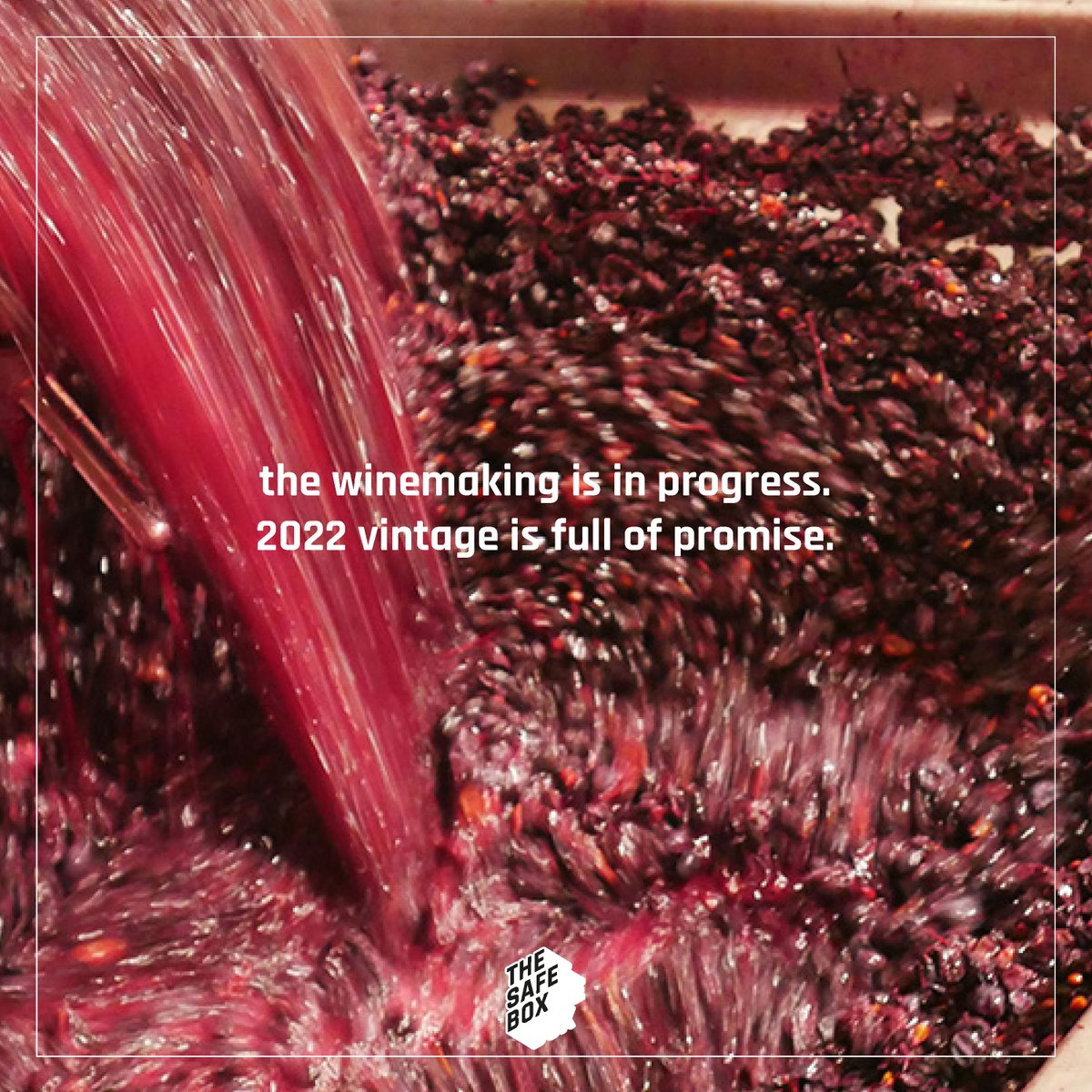 TheSafeBox.io (@thesafeboxnft) on Twitter photo 2022 vintage will be a great vintage. Quality and quantity are back.
#nft #blockchain #wine #innovation 2022 vintage will be a great vintage. Quality and quantity are back.
#nft #blockchain #wine #innovation