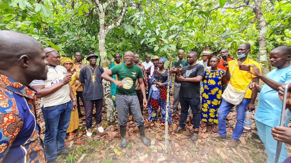 PIF_CI's tweet photo. Une délégation de planteurs venus de Rapide Grah, Haut dodo et Scio est venue s'imprégner de l'expérience de M. N'Koh en matière d'agroforesterie à Azaguié. https://t.co/G2pWBJ9xLP
