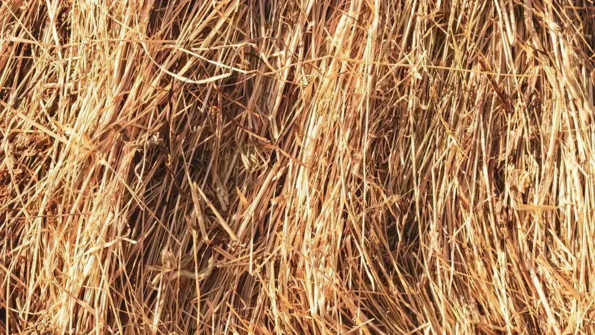 George_OEL's tweet photo. "The straw that broke the camel's back"

"Only the tip of the iceberg"

Two phrases we are familiar with, both relating to the importance of managing misconduct no matter how small it may seem.

We go in-depth on the topic over at our blog -
https://t.co/sTEEm7k1tY https://t.co/odiU6VVj3J