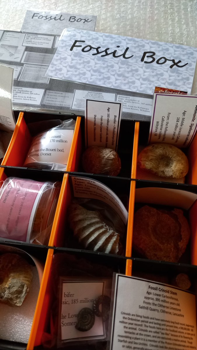 pack_steam's tweet photo. I'm preparing my next #STEAMPack & it's an extra special Fossil pack. There's two lovely boxes going to a new home soon. They were generously prepared & donated by @BSally1 and Dr Neville Hollingworth. Thank you both so much for these beautiful boxes, they will bring much joy. π https://t.co/GeoQGMllvV