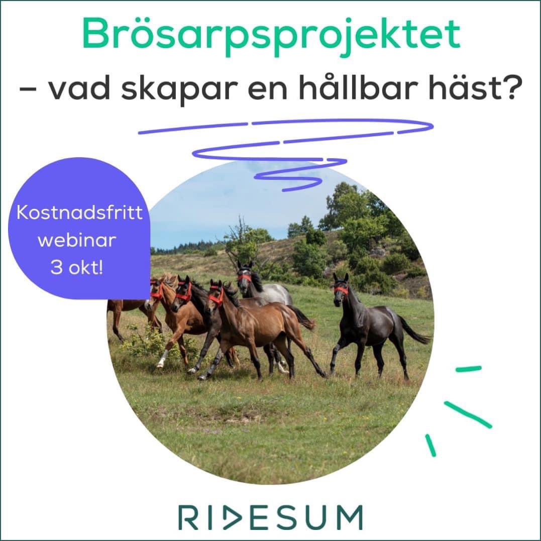 Världens enskilt största studie av hästbeteende med 34 000 studietimmar av hästarna i Brösarps backar är klar. Nu kan du ta del av insikterna om vad som bygger en hållbar häst🐎💚 Anmäl dig till webinar: ridesum.com/webinar-brosar…

#ridsport #häst #equestrian #horsetech