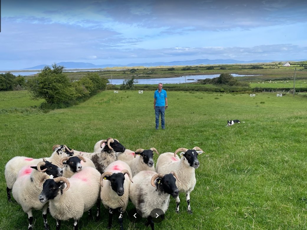 AtlantSheepdogs's tweet photo. Delighted to be a guest speaker at @Failte_Ireland Authority's meeting in @sligoparkhotel yesterday. Massive positivity about all #Sligo has to offer on the @wildatlanticway - exciting times ahead! @sligococo @SligoBID @OceanSandsHotel @StrandhillLodge @SligoFoodTrail @aoifep https://t.co/e1WJwTDWUR