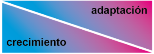 NicoBlanco tweet media