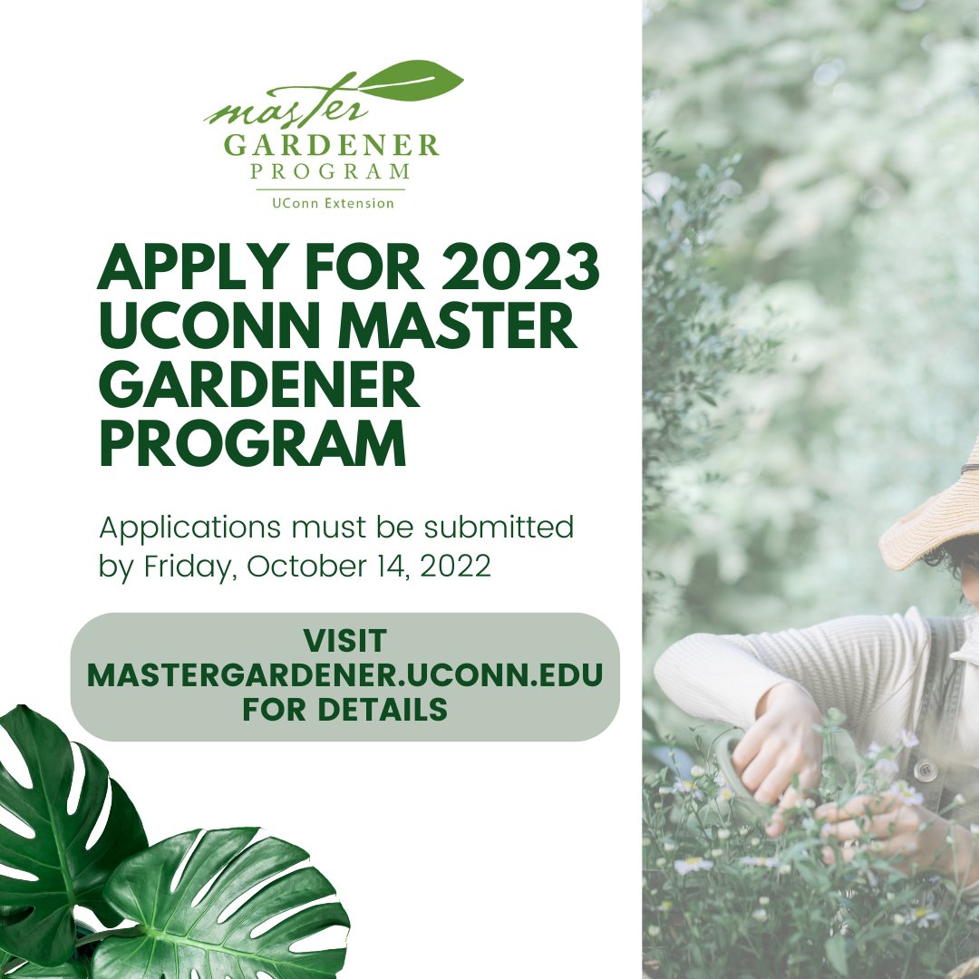 🌿 The Bartlett is a home of the #UCONN Extension #MasterGardener Program. Interested in joining the program? Now is your chance!

🖊️ Applications for the UCONN Master Gardener 2023 program are being accepted now through Friday, October 14: ow.ly/6ezK50KWVhQ