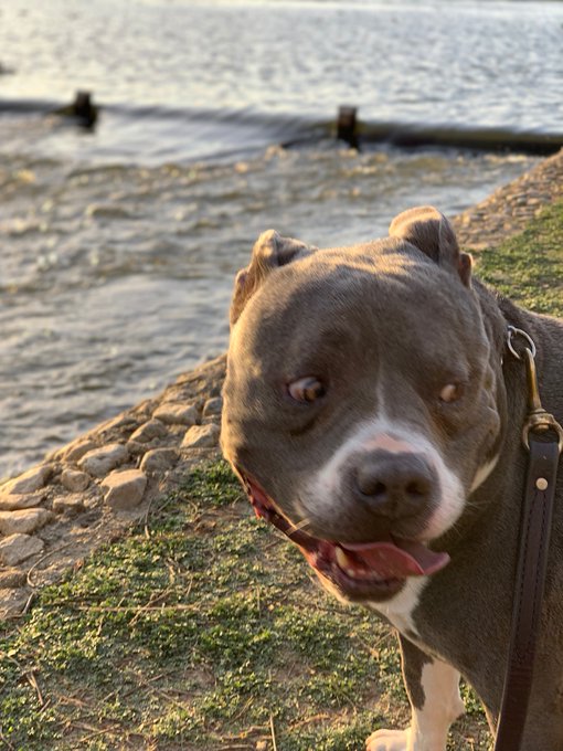 my handsome man https://t.co/Gf768bOhXe<a href="/tag/saturn"class="tags"><span>#saturn</span></a>