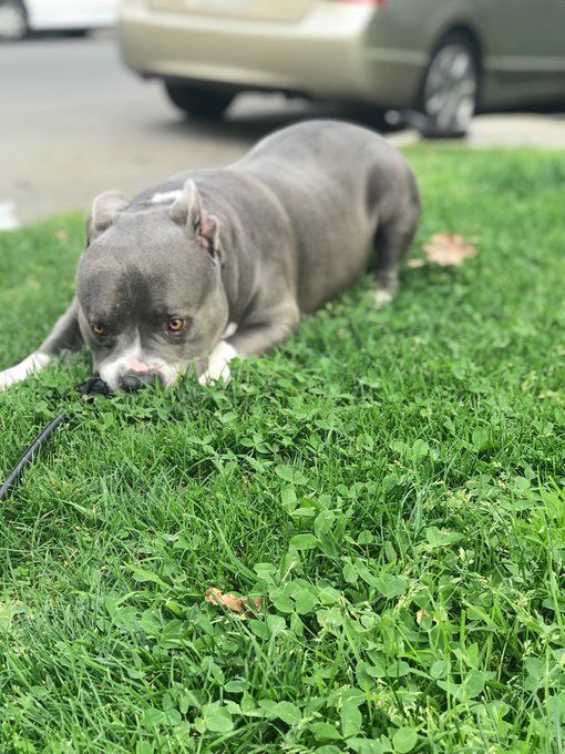 my handsome man https://t.co/Gf768bOhXe<a href="/tag/saturn"class="tags"><span>#saturn</span></a>