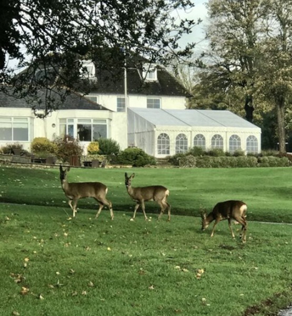 Worthing Golf Club tweet media