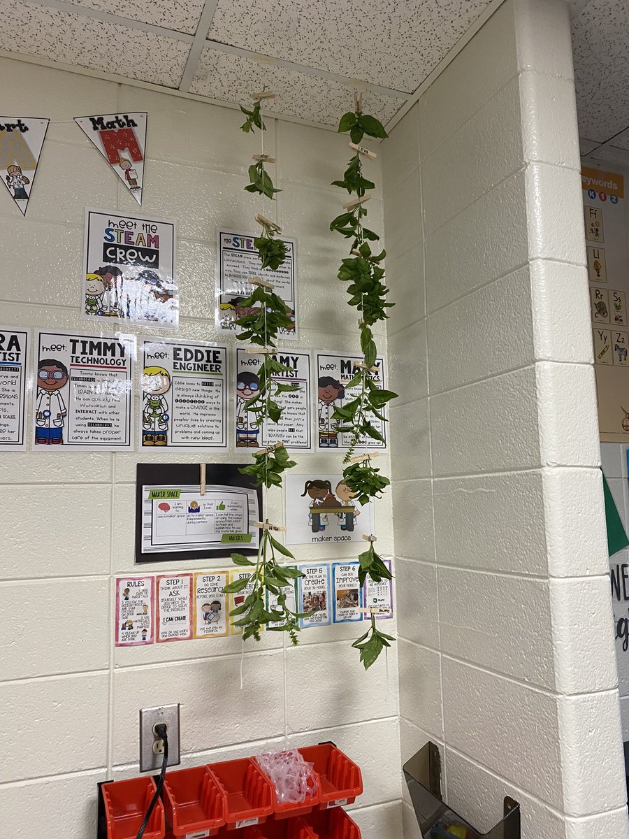 Students are harvesting basil from the garden to hang dry and share with our families! We discussed the physical attributes of freshly harvested basil and will observe how those attributes change as it dries.