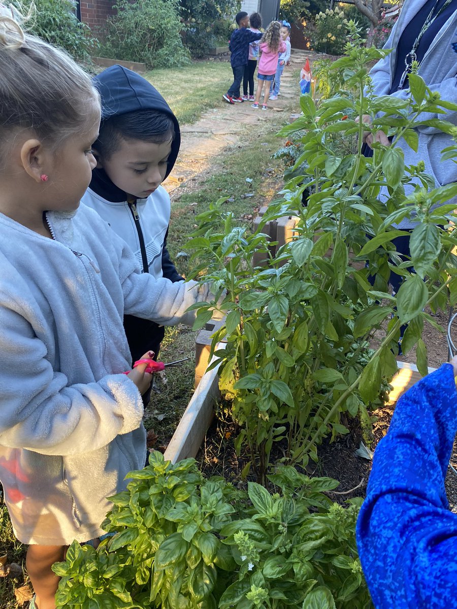 Dana Studer tweet media